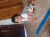 Hicham El Mechchate